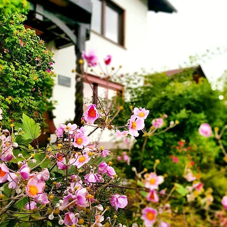 Berges Apartment Edersee