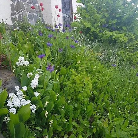 Апартаменты Berges