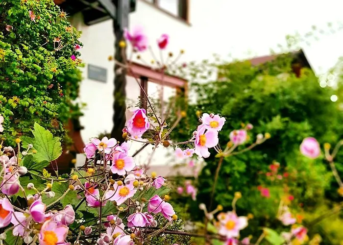 Berges Apartment Edersee